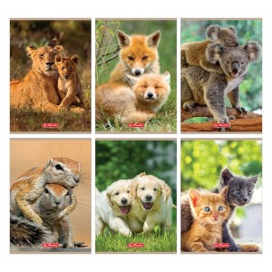 Zeszyt A5 32k. ANIMALS kratka Herlitz /83069-32
