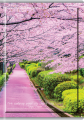 1101_1591140_preview.png