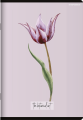 1103_159571_preview.png