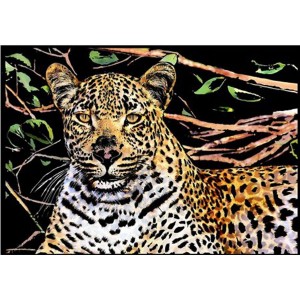 Zdrapywanka kreatywna ZDRAPKA - Gepard /62529