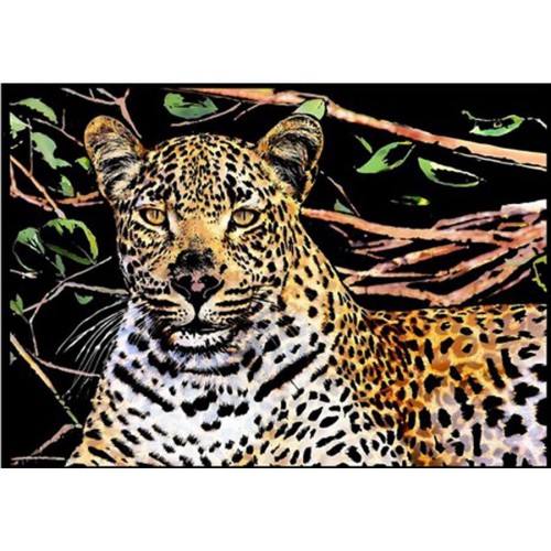 062529-zdrapka-obraz-zdrapywanka-gepard.jpg