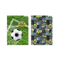 FOOTBALL 95300.png