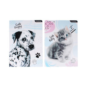 Teczka szkolna z gumką A4 DOGGY & KITTY /73502