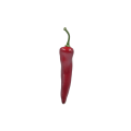 20220916_175756.png