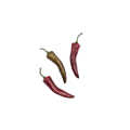 20220916_175824.png