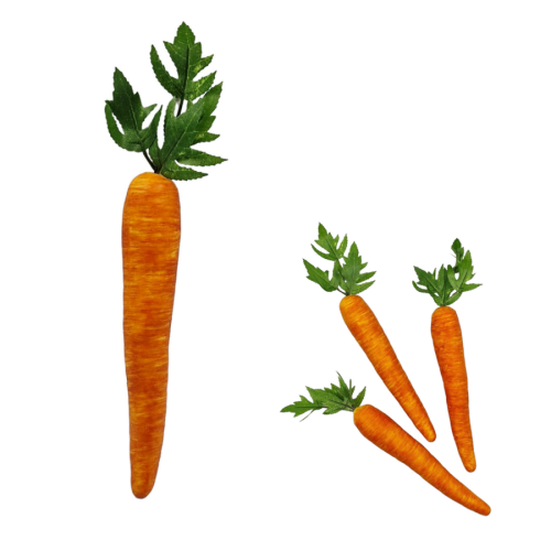 MARCHEWKA.png