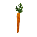 20220916_175537.png