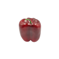 20220916_180159.png