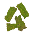 20220924_120957.png