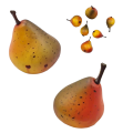 Gk.png