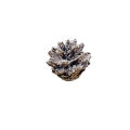 20221005_124132.png