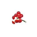 20221011_125745.png