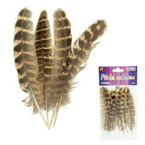  Piórka ozdobne 10-15cm prążki 8szt /53363