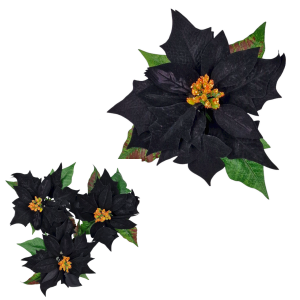 Kwiat POINSECJA - Gwiazda Betlejemska 21cm CZARNA /85481-BL