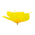 H36-01-02.png