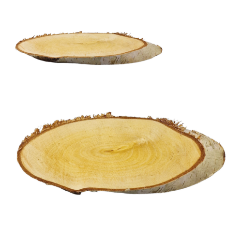plastry-brzozowe-20-22-cm-x-8-10-cm.png