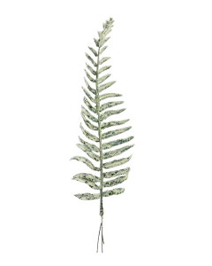 Gałązka - Liść PAPROĆ bielona 37cm /54208
