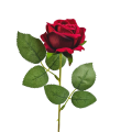 20230120_170010.png