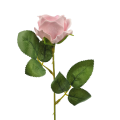 20230120_170053.png