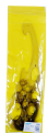 6695 (2).png