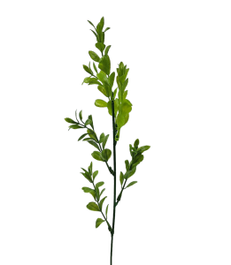 Gałązka BUKSZPAN 45cm /52877
