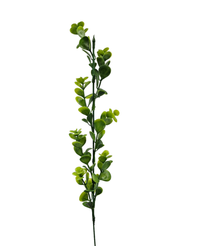 20230207_100804.png