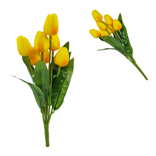 żółty.png