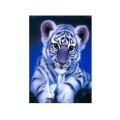 76021..png