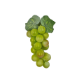 20230425_152543.png