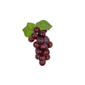20230425_152329.png