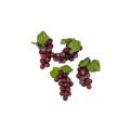 20230425_152413.png