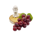 20230426_181533.png
