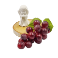 20230426_181600.png