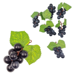 Winogrono dekoracyjne 8cm granatowe - gałązka MINI /88534-G