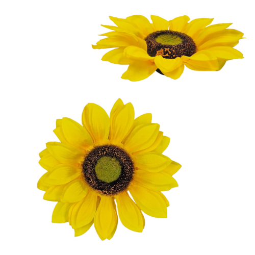 54333.png