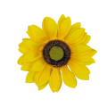 20230602_164940.png