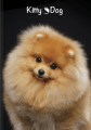 5.png