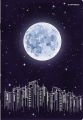 1512_751618_preview.png