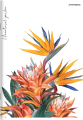 1504_667411_preview.png