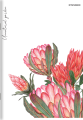 1500_693288_preview.png
