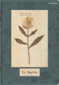 1100_846063_preview.png