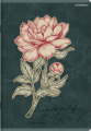 1503_1237381_preview.png