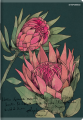 1506_1388252_preview.png