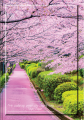 1501_2000568_preview.png