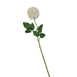 Gałązka - dodatek florystyczny CZOSNEK 50cm biały /56448-B