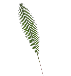 Gałązka - Liść PALMOWY zielony - dodatek florystyczny 46 cm /53133