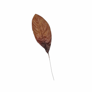 Gałązka - Liść pojedynczy brązowy 29cm /86082-1-BR