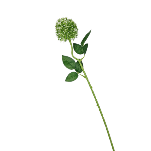 16418-Z.png
