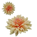 DALIA-7280.png