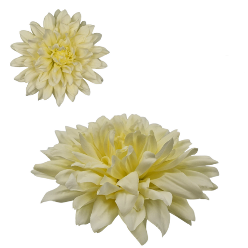DALIA-5280.png